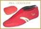 IWA GOLDLINE-Serie 500