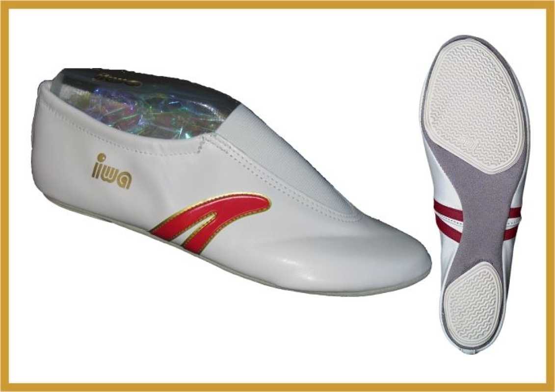 IWA Kunstturnschuh-Serie 401