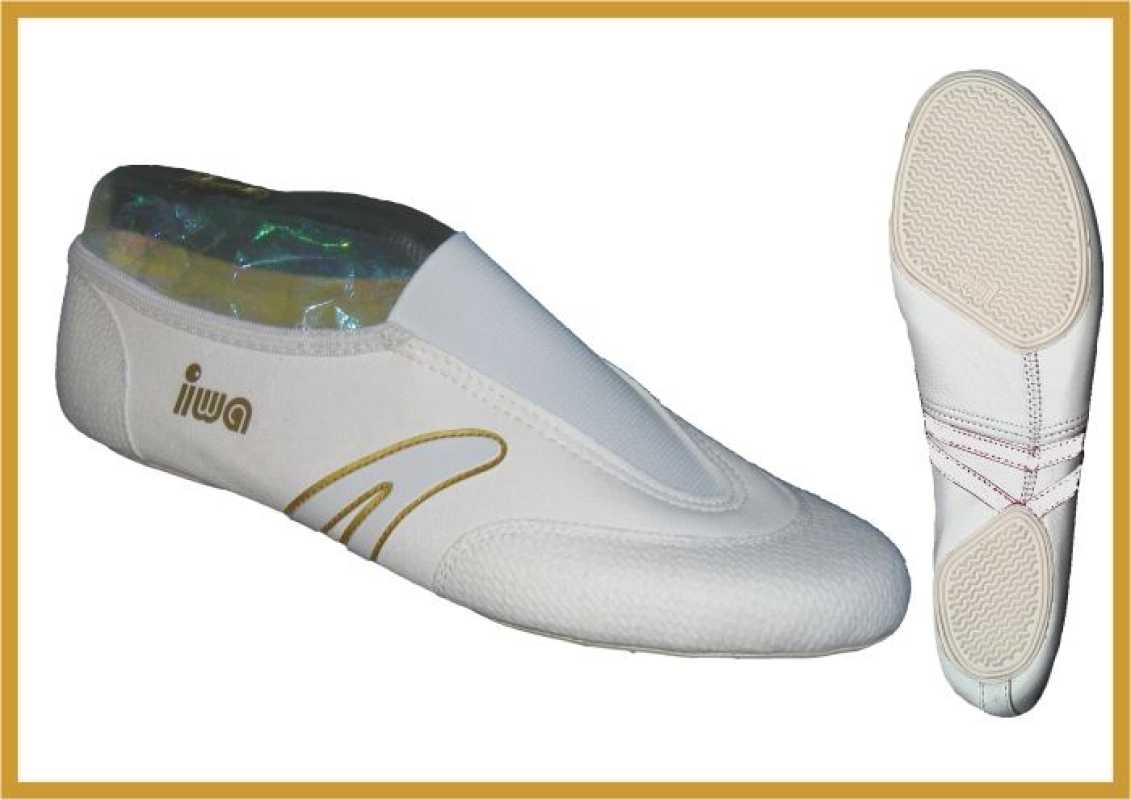 IWA GOLDLINE-Serie 508